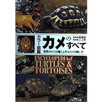 かめカメページ e-bns_neck-1390